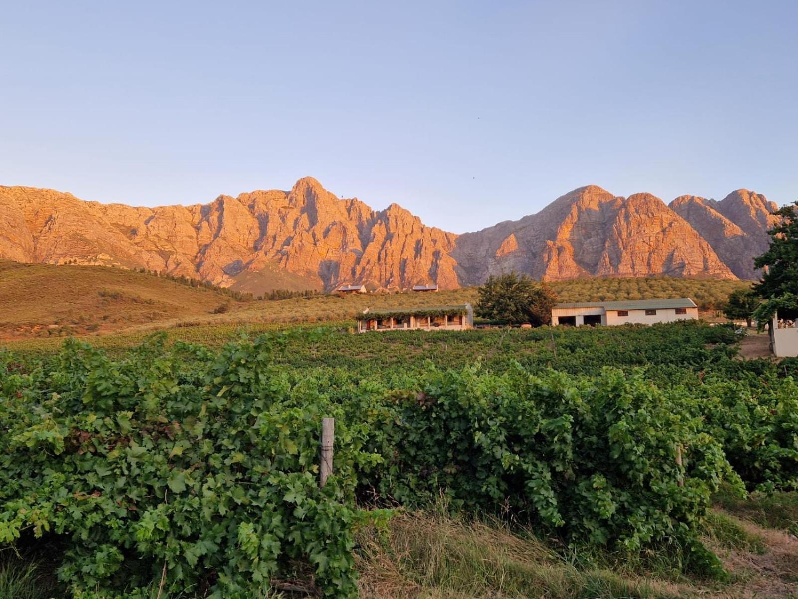 Vredehoek Guest Farm Breërivier Exterior foto